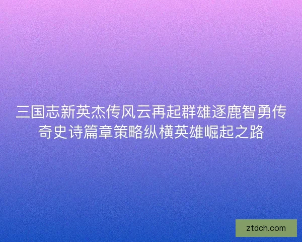 三国志新英杰传风云再起群雄逐鹿智勇传奇史诗篇章策略纵横英雄崛起之路