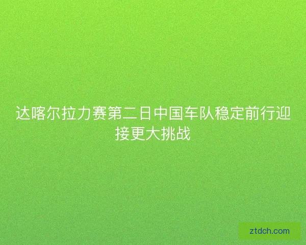 达喀尔拉力赛第二日中国车队稳定前行迎接更大挑战